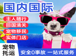 西安航空空运国际宠物托运 【国